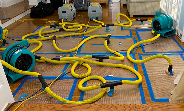 Professional Emergency Water Removal technician working in Baldwin, MI